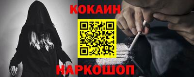 мет Кингисепп