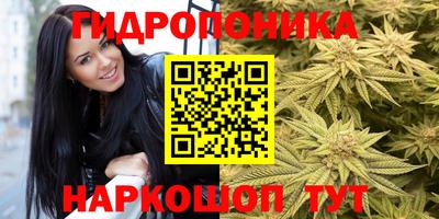 каннабис Кимры