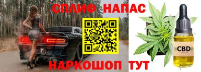 мет Кингисепп
